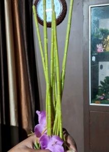 Artificial Flowers with Pot