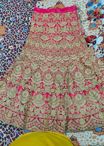 Gorgeous Lehenga Choli Set
