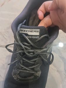 Skechers Shoes