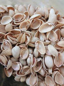 Pista shells for creative craft works