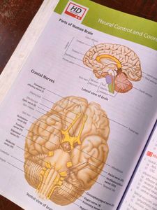MTG Objective NCERT at your FINGERTIPS - Biology