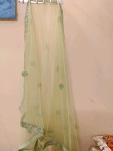 Elegant Lehenga Choli Set