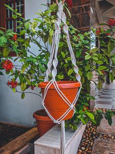 Handmade Plant Hanger- NEW