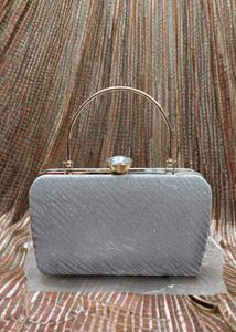 Elegant Silver Clutch