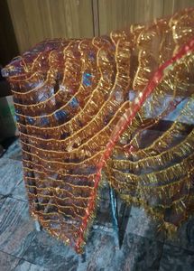 Sparkling Bridal Dupatta