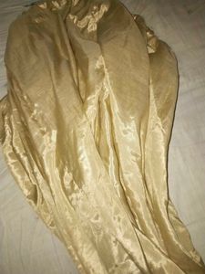 Elegant Gold Embellished Pakistani Dress