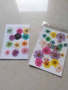 Resin Art Dried Flower