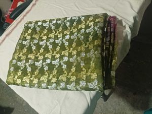 Green Floral Saree with Embellished Border