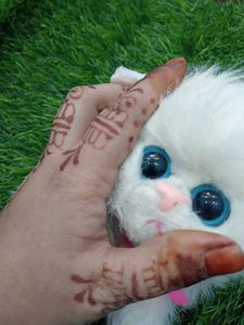 Cat Cuite Soft Toy