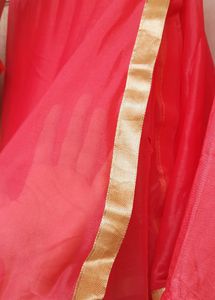 Pink Padded Gown