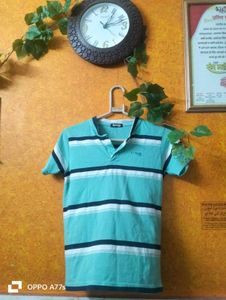 Cotton T Shirt