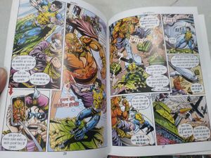🔥🔥RAJ COMICS SET OF 2
