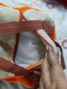 Back Bag