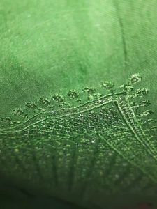 Green Embellished Kurta
