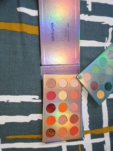 Combo Of Eyeshadow And Brushes