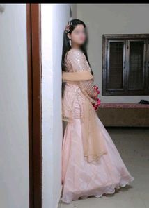 Elegant Fish Cut Lehenga Choli