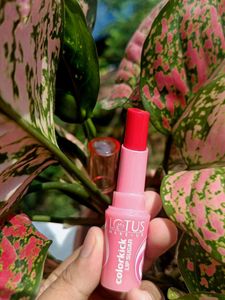 Lotus ColorKick Lip Sugar