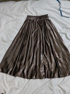Shiny Pleated Skirt