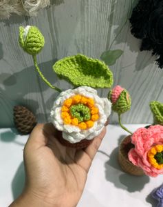 Crochet Lotus Flowers 🪷