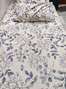single bedsheet with 2 pillow covers