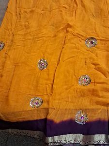 Elegant Embellished Saree