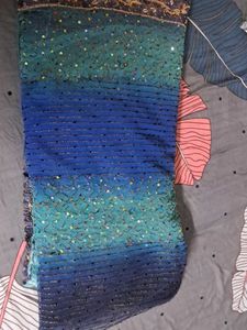 Ocean colored zari embroidered Sari