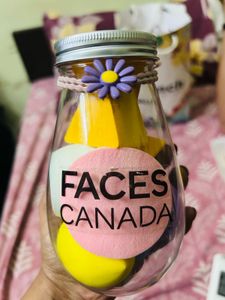 Faces Canada Sponges