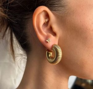 Coil Earrings Chunky Anti-tarnish