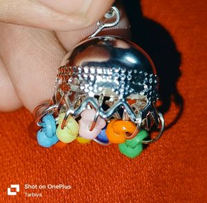 Multi Colour Beautiful Earrings