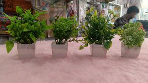Miniature Artificial Plant Decor (buy Any Four)
