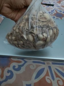 Pista Shell - Art And Craft Work Or For Counti