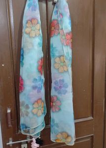 My Stunning Organza Dupattas At Your Service