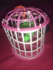 Toy Pinjra(6 Piss/Random Colour)😇