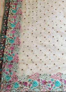 Elegant cream net saree