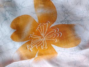 Combo pack 2 floral print sarees
