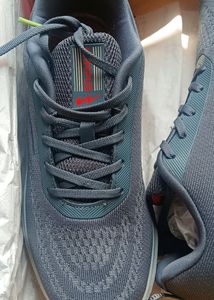 New Campus Sports Shoes