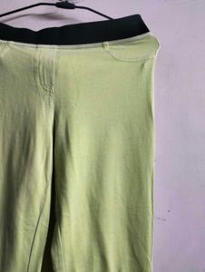 Green Slim Fit Pants