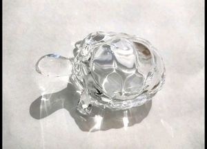 Turtle Tortoise🐢 Made Of Glass