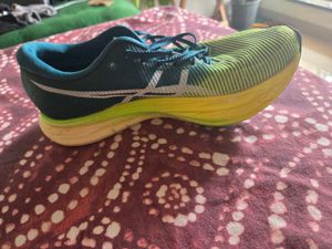 left pair of the shoe only.