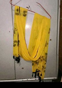 11 Dupattas