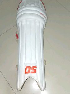 DS Cricket Kit