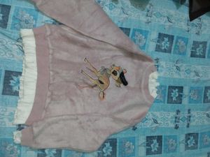 Cute Animal Embroidered Sweatshirt new