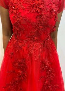 Stunning Red Floral Embellished Gown