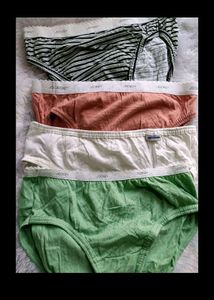 Briefs Large Size