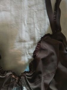 Beautiful Brown Under Wire Pushup Bra