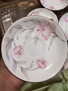 Fine Bone China Plates