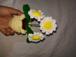 Daisy Crochet  Flower n Flowerpot