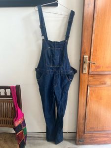 Men's Dungaree