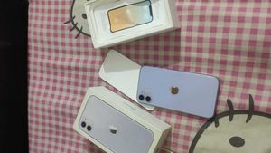 Apple Iphone11 (icloud Locked)