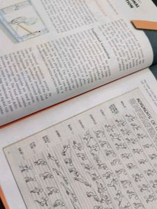 Animator Class XI Textbook